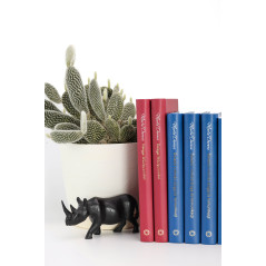 Zestaw Książka Światło i miłość (wersja delux) + księga wdzięczności