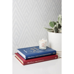 Zestaw Książka Światło i miłość (wersja delux) + księga wdzięczności